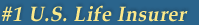 #1 US Life Insurer