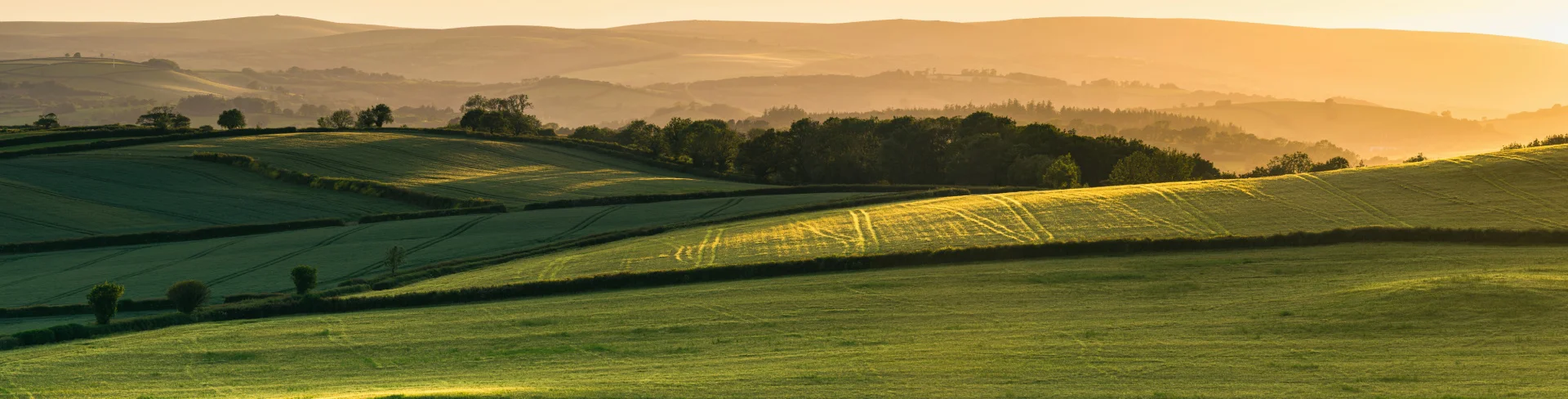 U.S. Agricultural Outlook 2026
