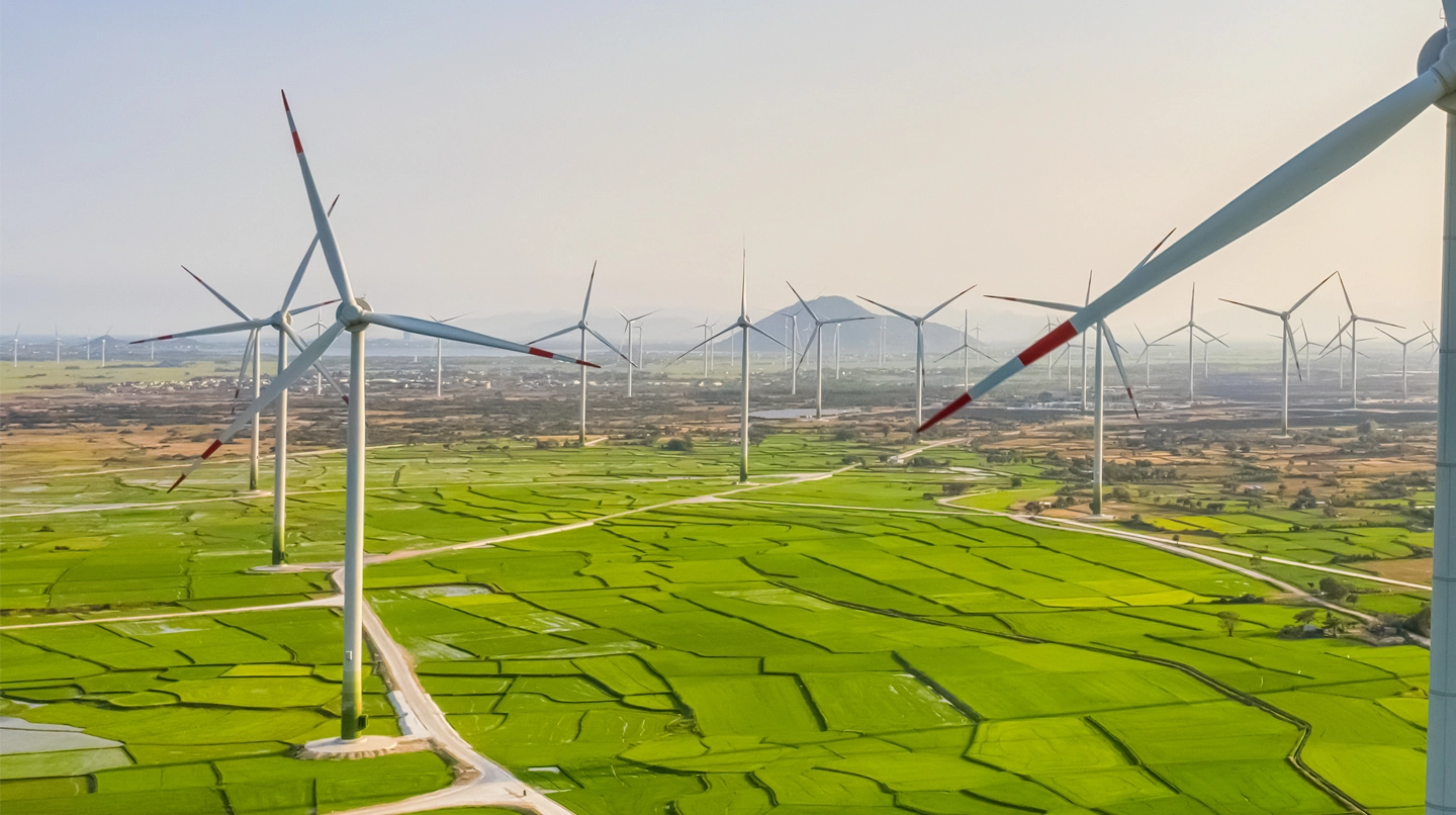 Sustainability