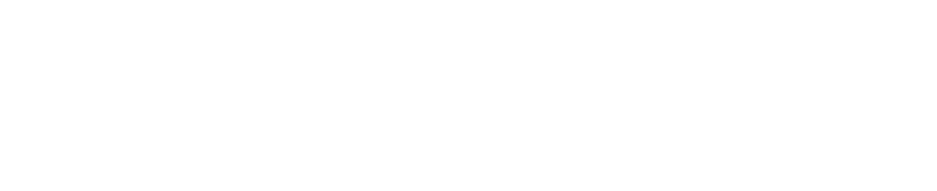 MetLife Investemnt Management