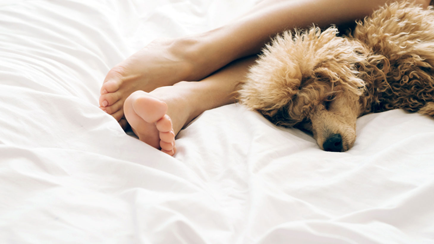 Sleep Tips