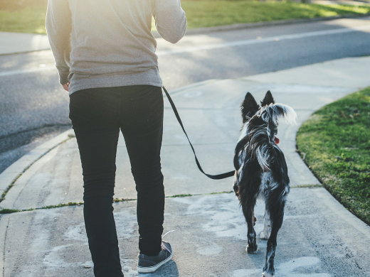 Tips for Healthy Living