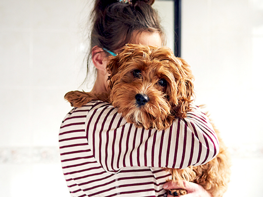 Keep Your Pet Healthy