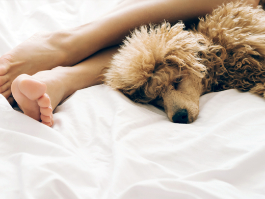 Sleep Tips