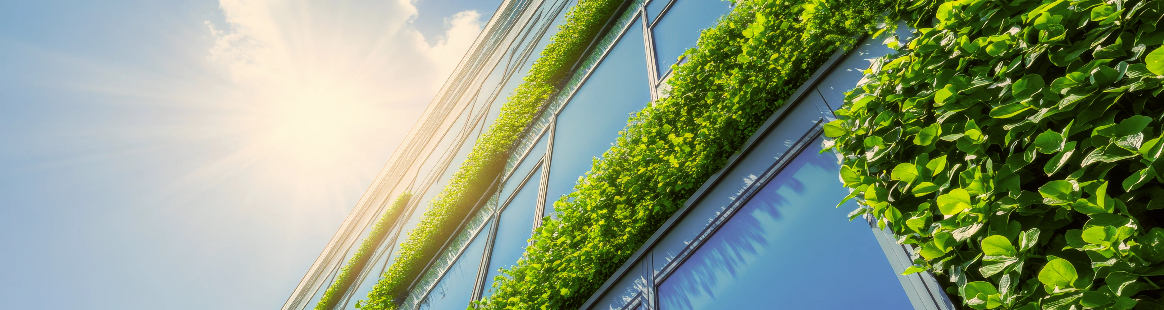 Disclosures: Sustainability Frameworks