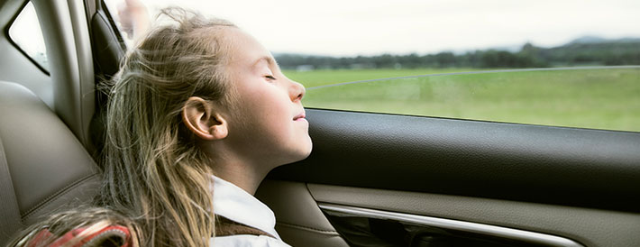 Auto Insurance
