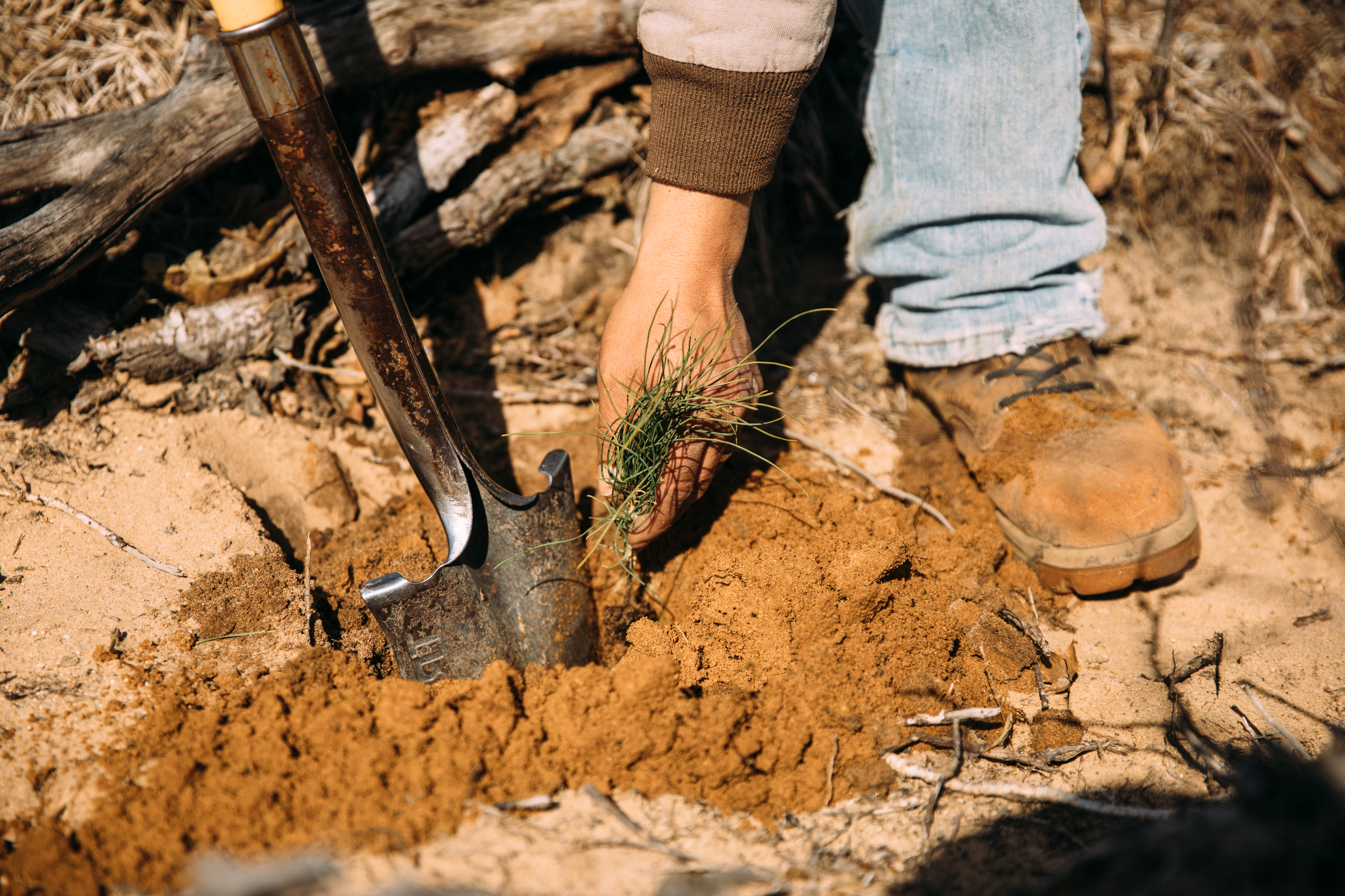 Our Tree Planting Partners