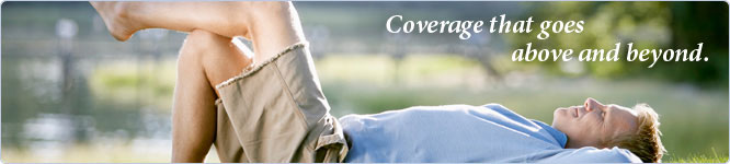 Personal Excess Liability Metlife